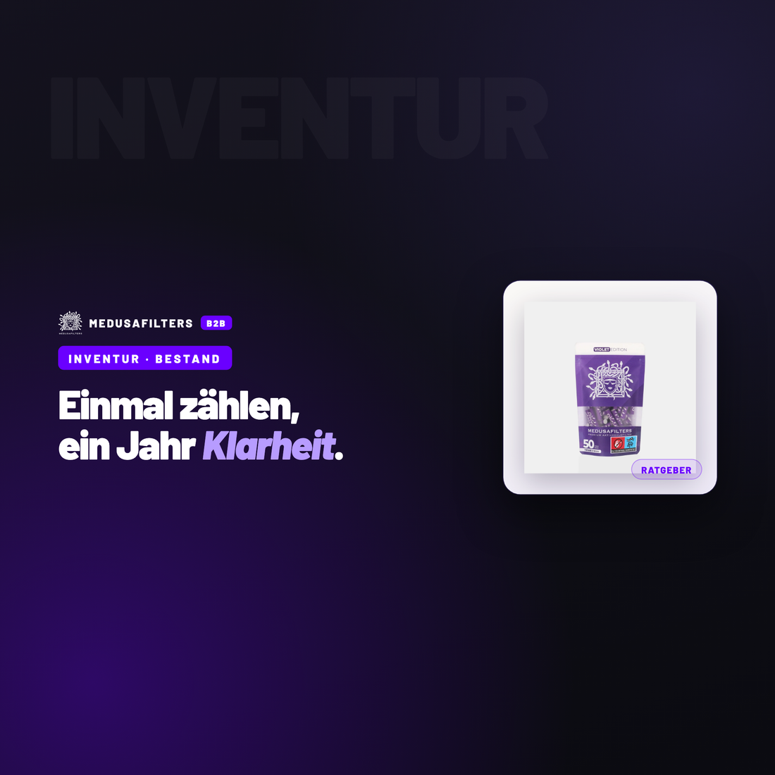 INVENTUR – BESTAND: Inventur im Zubehörhandel: Vorbereitung, Zähltag, Auswertung – Ratgeber für Händler, Medusafilters B2B