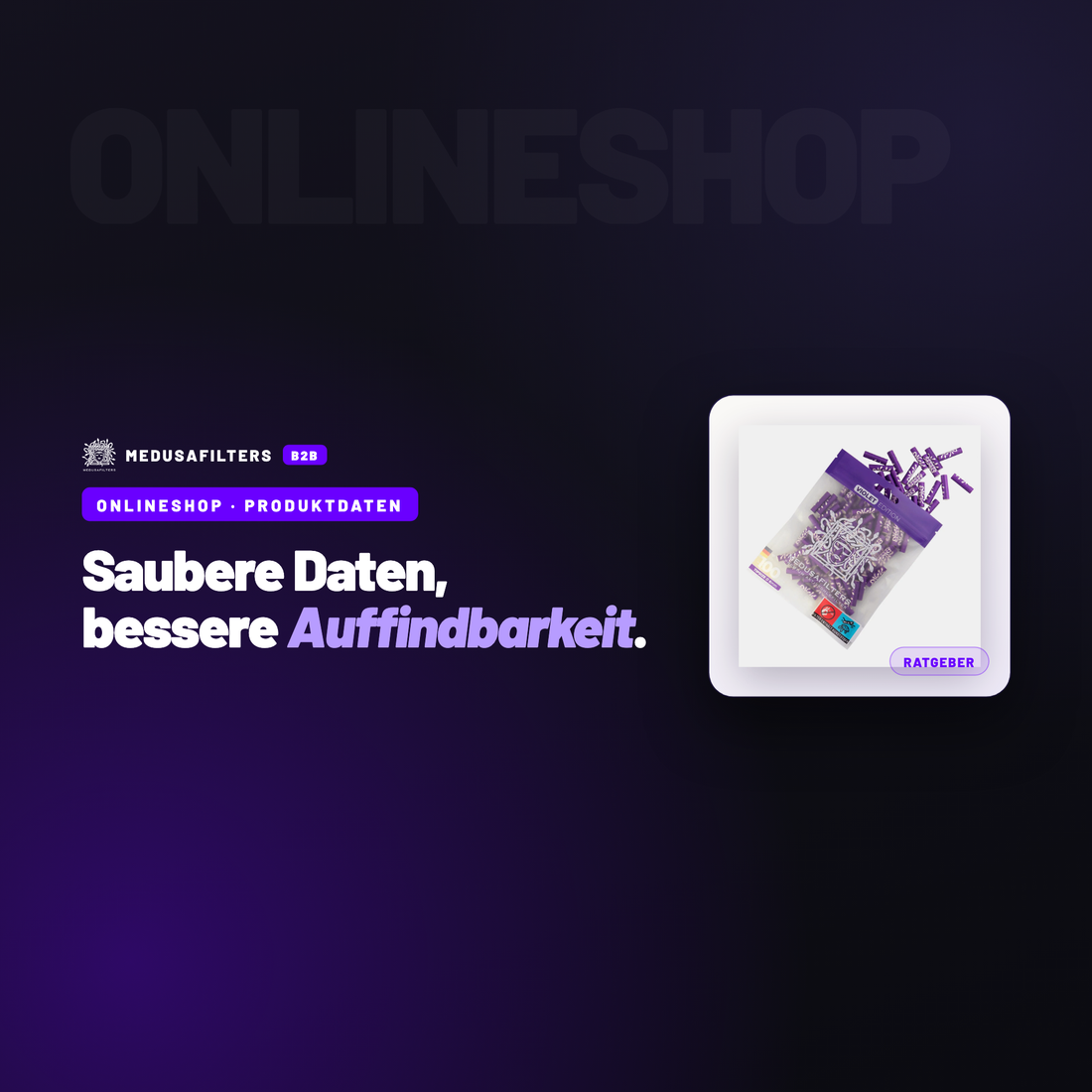 ONLINESHOP – PRODUKTDATEN: Produktdaten sauber in den eigenen Onlineshop übernehmen – Ratgeber für Händler, Medusafilters B2B
