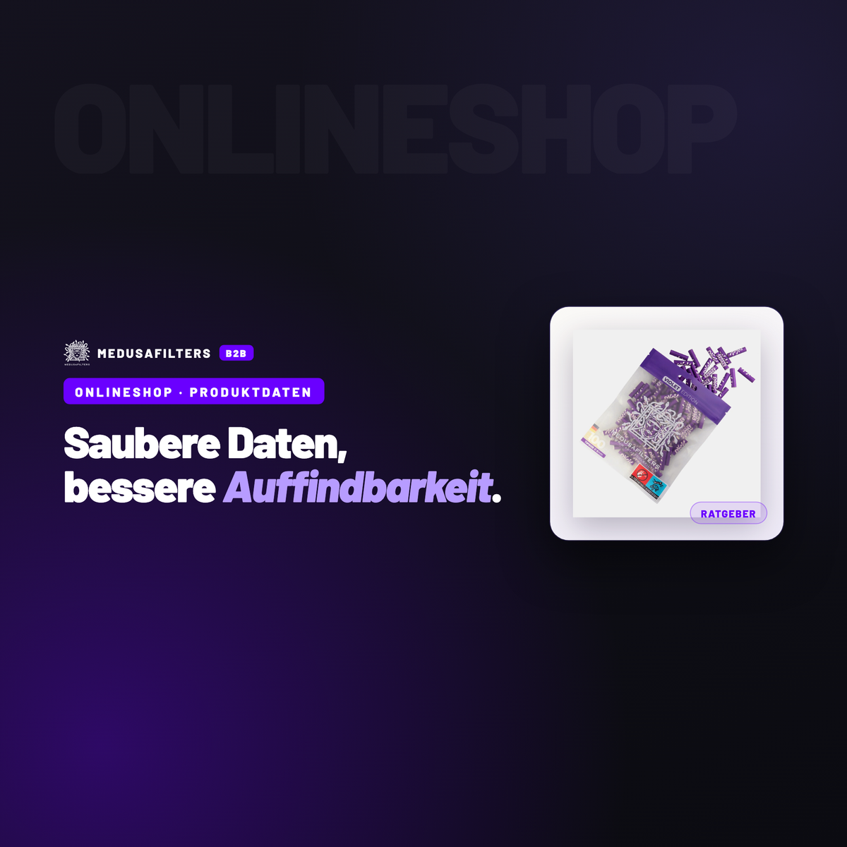 ONLINESHOP – PRODUKTDATEN: Produktdaten sauber in den eigenen Onlineshop übernehmen – Ratgeber für Händler, Medusafilters B2B